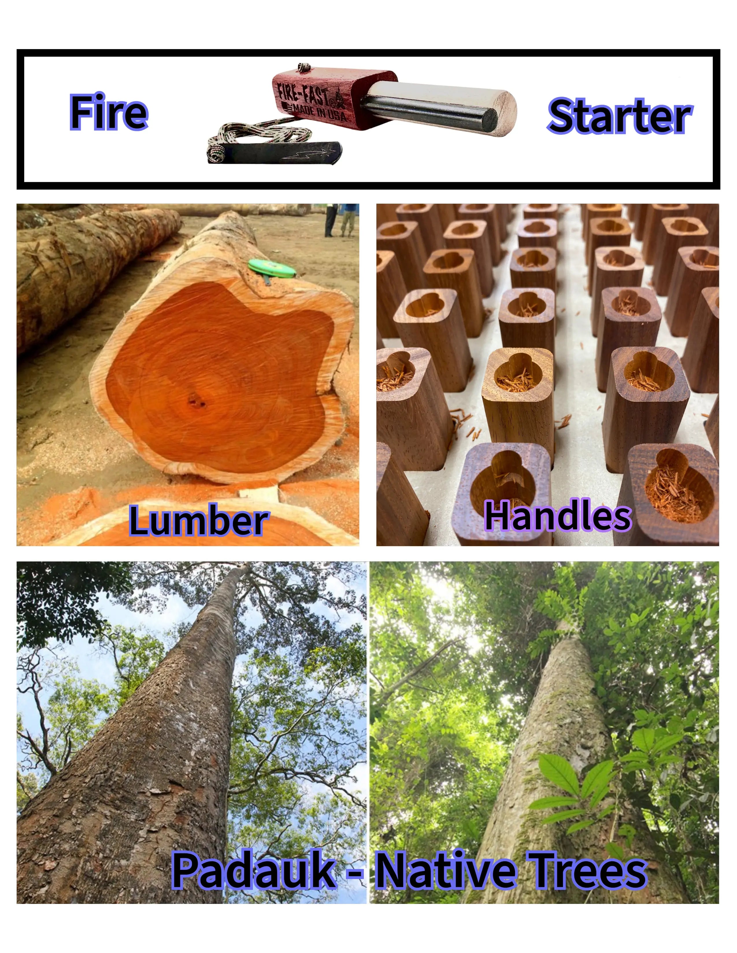 Fire-Fast fire starter with African Padauk handle shown above photos of freshly cut Padauk lumber, machined Padauk handles, and native Padauk trees growing in the forest.